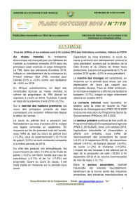 Image of PLAN NATIONAL DE DEVELOPPEMENT 2019